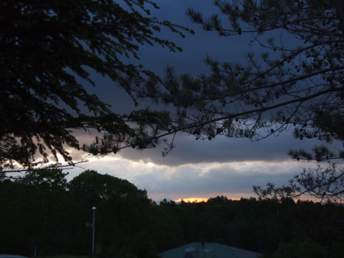 P5316032*.jpg
