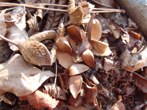 PC070038.JPG