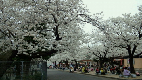 2012041108100000.jpg