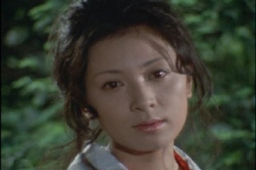 PDVD_004.jpg