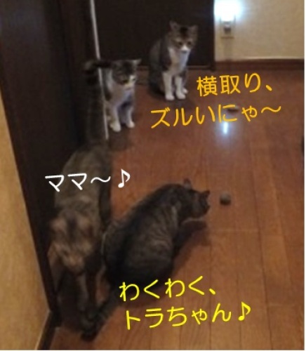 20130530_6.jpg