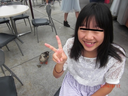 CIMG7303 (640x480).jpg