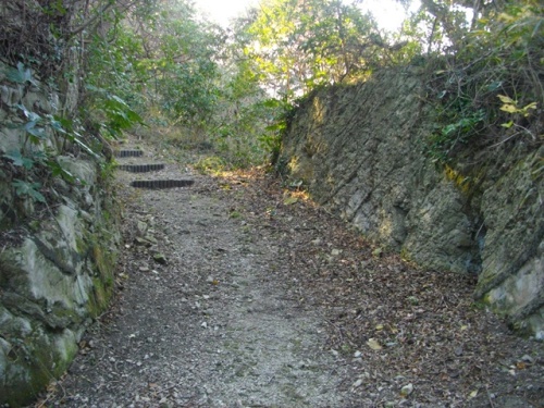 安房勝山城切岸 (1).JPG