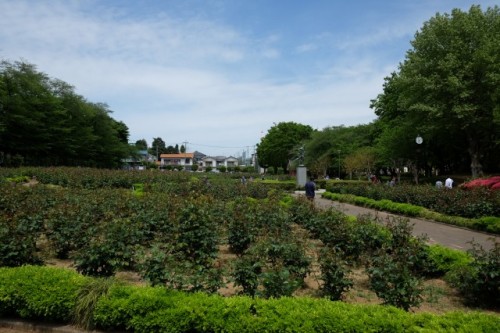 YONO PARK 4.May.2017.jpg