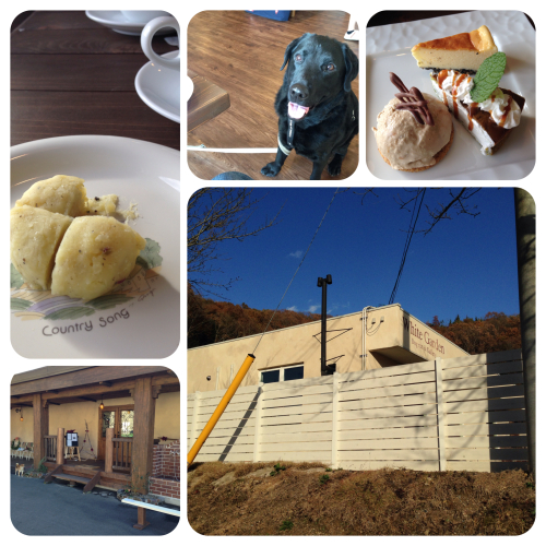 201412011552_2768_iphone.jpg