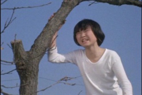 PDVD_012.jpg