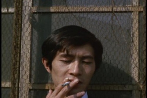 PDVD_008.jpg