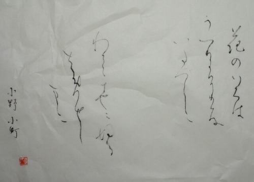 小野小町 花の色はうつりにけりな・・の書.jpg