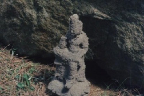 PDVD_009.jpg