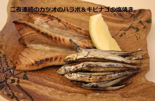 2014_1120_173746-IMG_2163.JPG