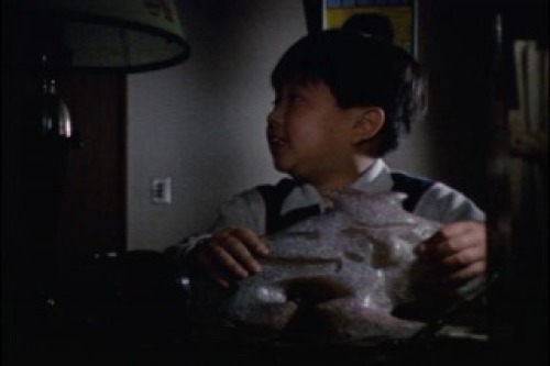 PDVD_019.jpg