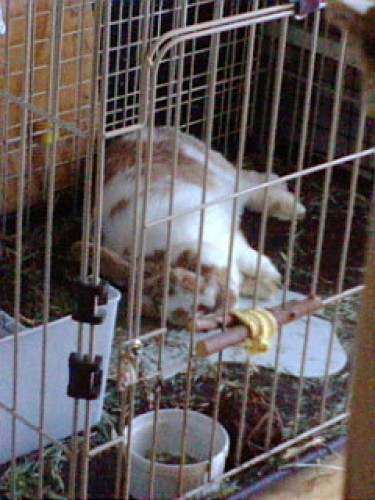 F1000569.JPG