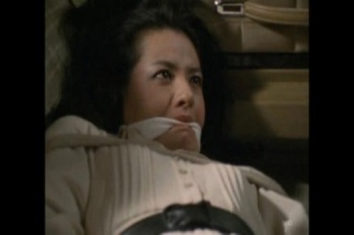 PDVD_021.jpg