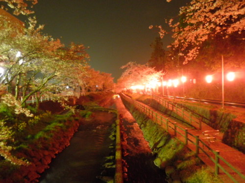 ２０１２年４月１６日栃木県