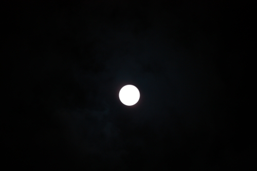 IMG_1979ブログ.JPG