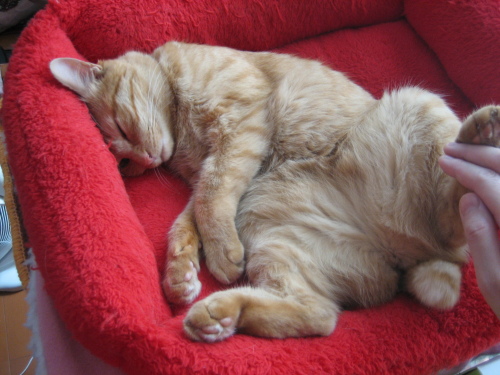 July 20, 2013(8).JPG