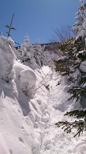 DSC_0191.jpg