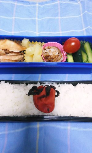 地味弁当.jpg