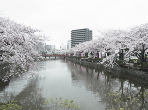 20130330小田原　04馬出門からお堀を振り返る.jpg