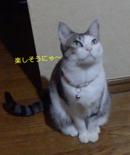 20151101_4.jpg