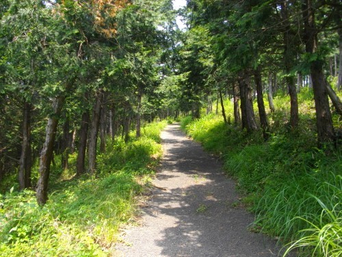 南郷山登山道 (500x375).jpg