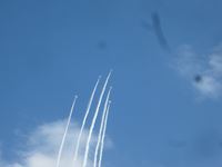 IMG_6851_R.JPG