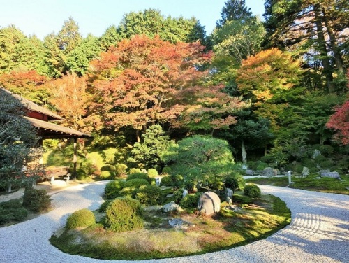 曼殊院門跡　庭園.JPG