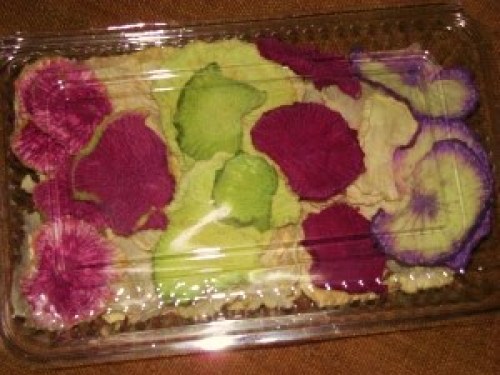 DSCN2691 (300x225).jpg