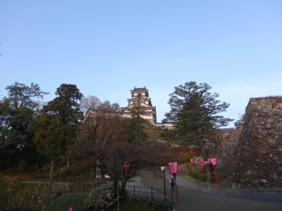 DSC00360.jpg