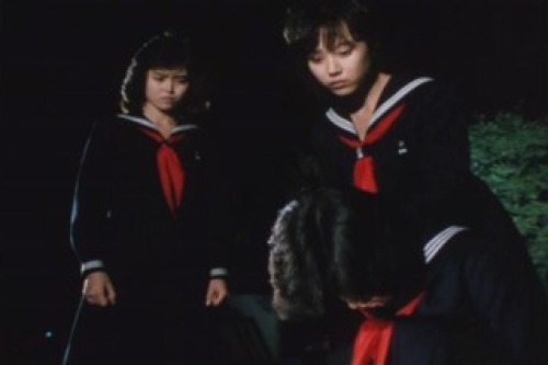 PDVD_028.jpg