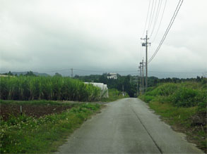 沖縄67.jpg