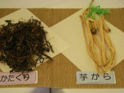 DSCN8983 (300x225).jpg