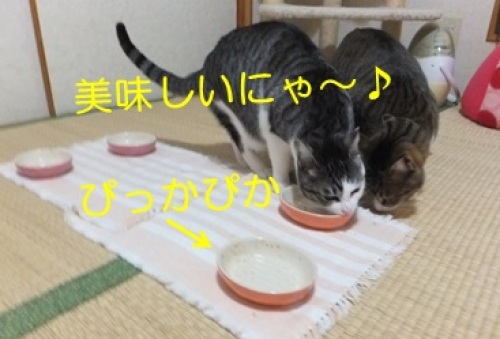 20121225_7.jpg