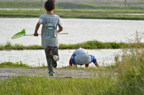 夕方の築城基地 197.jpg