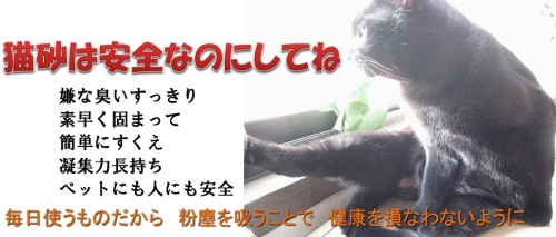 猫砂（おから）へ.jpg