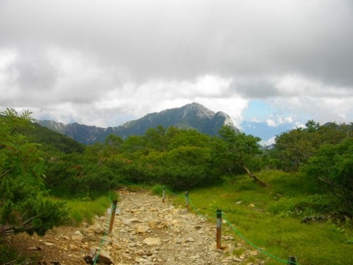 仙丈ケ岳藪沢森林限界 (11) (500x375).jpg