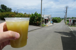 石垣270.jpg