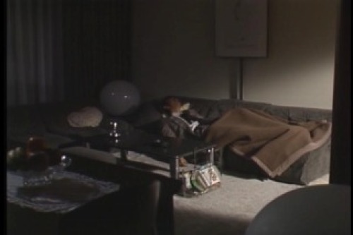 PDVD_012.jpg