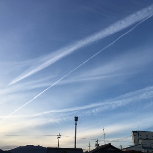 2018.1.14夕方  IMG_3657.jpg