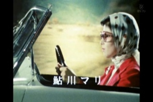 PDVD_003.jpg