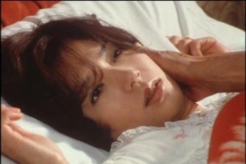 PDVD_028.jpg
