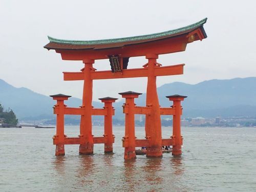 miyajima1_h240623_05.jpg