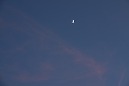 P1160073 のコピー.JPG