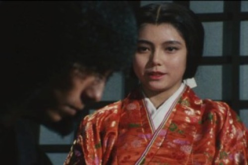 PDVD_023.jpg