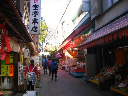 武蔵御嶽神社 (15).JPG