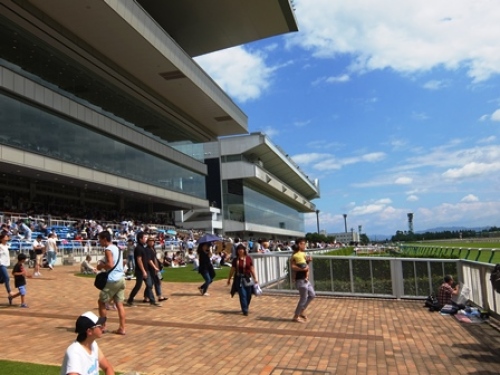 DSCF8566.JPG