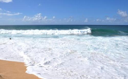 pict-ノースショア 17.jpg