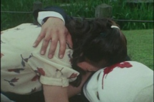 PDVD_022.jpg