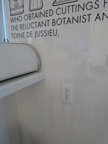 DSCN4847.jpg