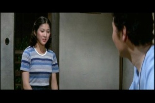 PDVD_004.jpg